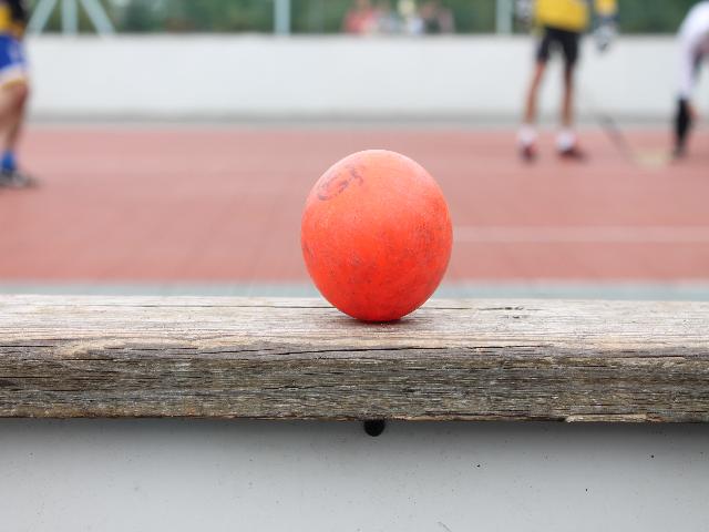 IMG_4664
