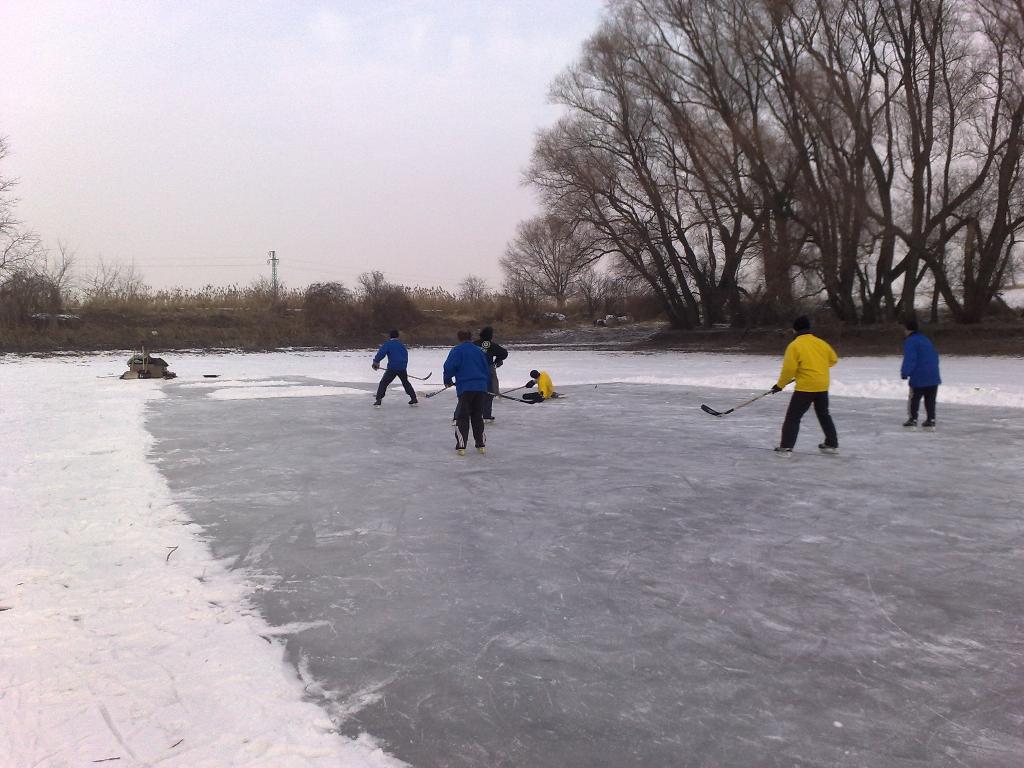 060120111298.jpg