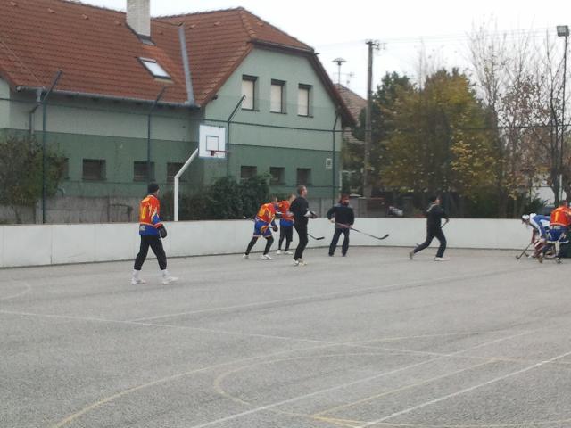 IMG_20121117_111747