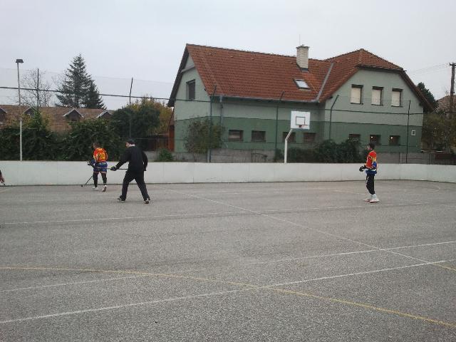 IMG_20121117_113028