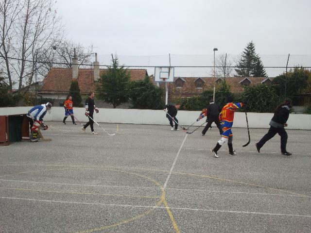 IMG_20121117_113037