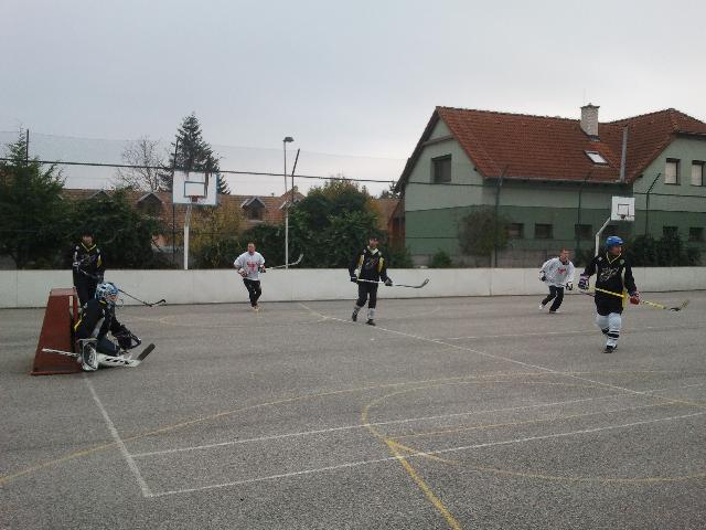 IMG_20121117_131858