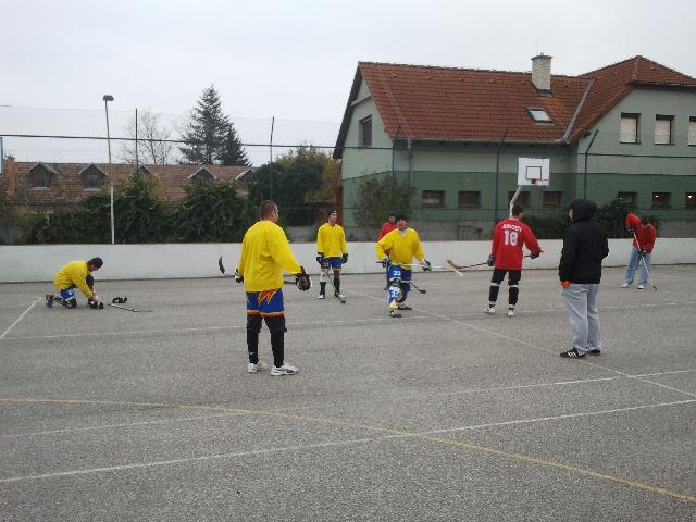 IMG_20121117_135600